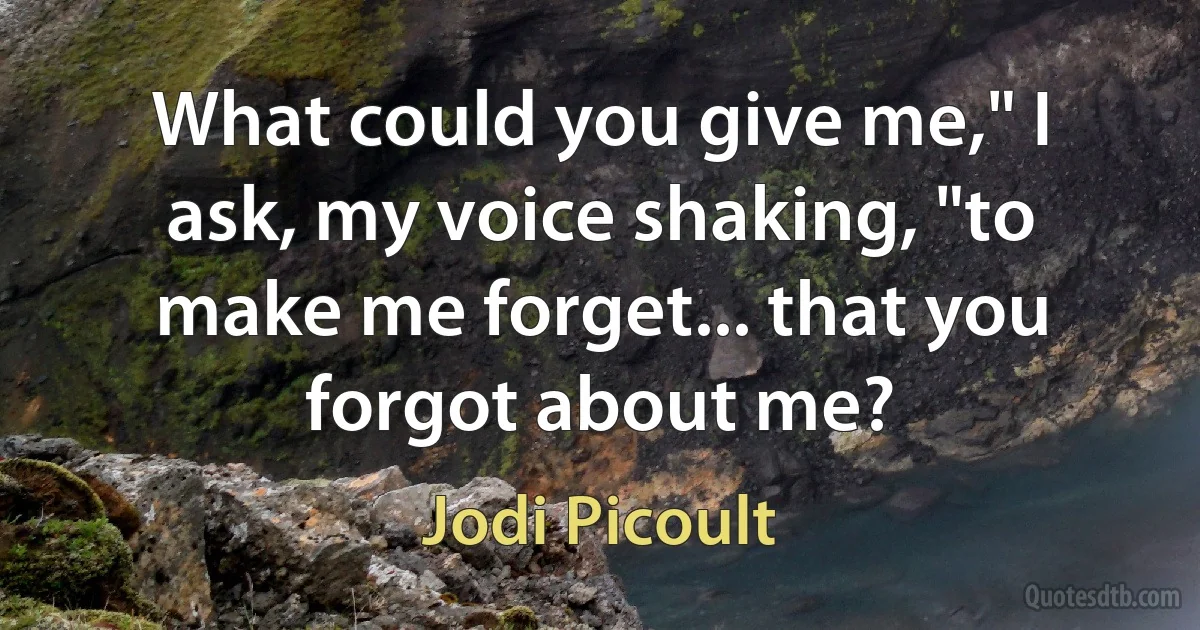 What could you give me," I ask, my voice shaking, "to make me forget... that you forgot about me? (Jodi Picoult)