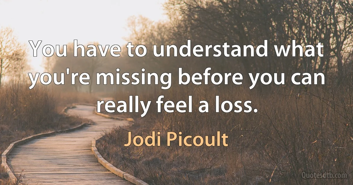 You have to understand what you're missing before you can really feel a loss. (Jodi Picoult)