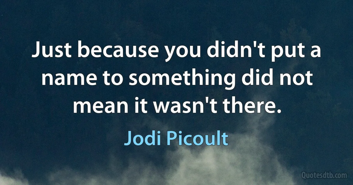 Just because you didn't put a name to something did not mean it wasn't there. (Jodi Picoult)