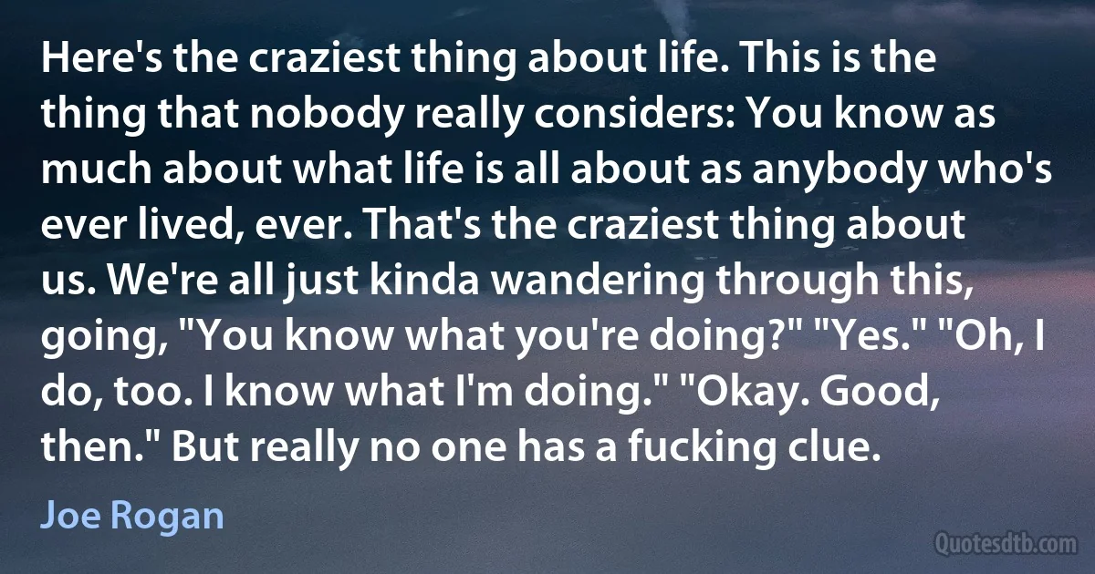 Here's the craziest thing about life. This is the thing that nobody really considers: You know as much about what life is all about as anybody who's ever lived, ever. That's the craziest thing about us. We're all just kinda wandering through this, going, "You know what you're doing?" "Yes." "Oh, I do, too. I know what I'm doing." "Okay. Good, then." But really no one has a fucking clue. (Joe Rogan)