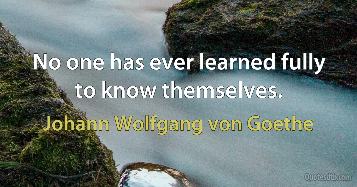 No one has ever learned fully to know themselves. (Johann Wolfgang von Goethe)