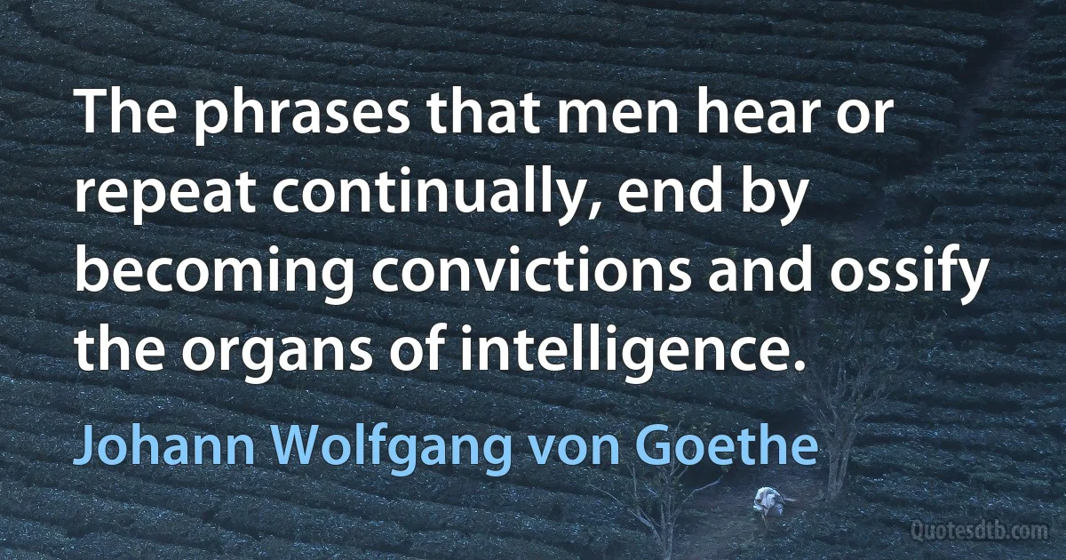 The phrases that men hear or repeat continually, end by becoming convictions and ossify the organs of intelligence. (Johann Wolfgang von Goethe)