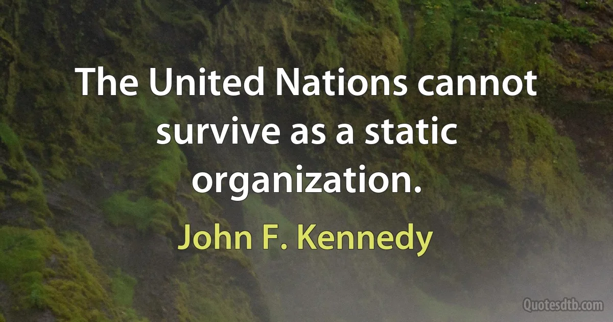 The United Nations cannot survive as a static organization. (John F. Kennedy)