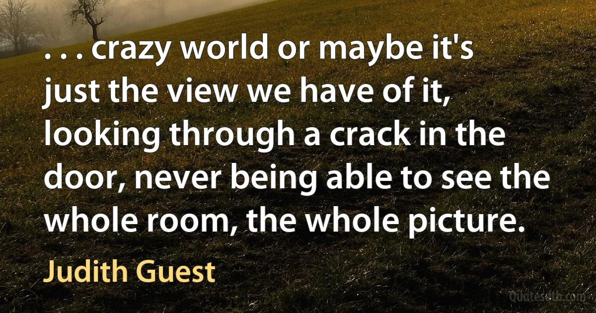 . . . crazy world or maybe it's just the view we have of it, looking through a crack in the door, never being able to see the whole room, the whole picture. (Judith Guest)