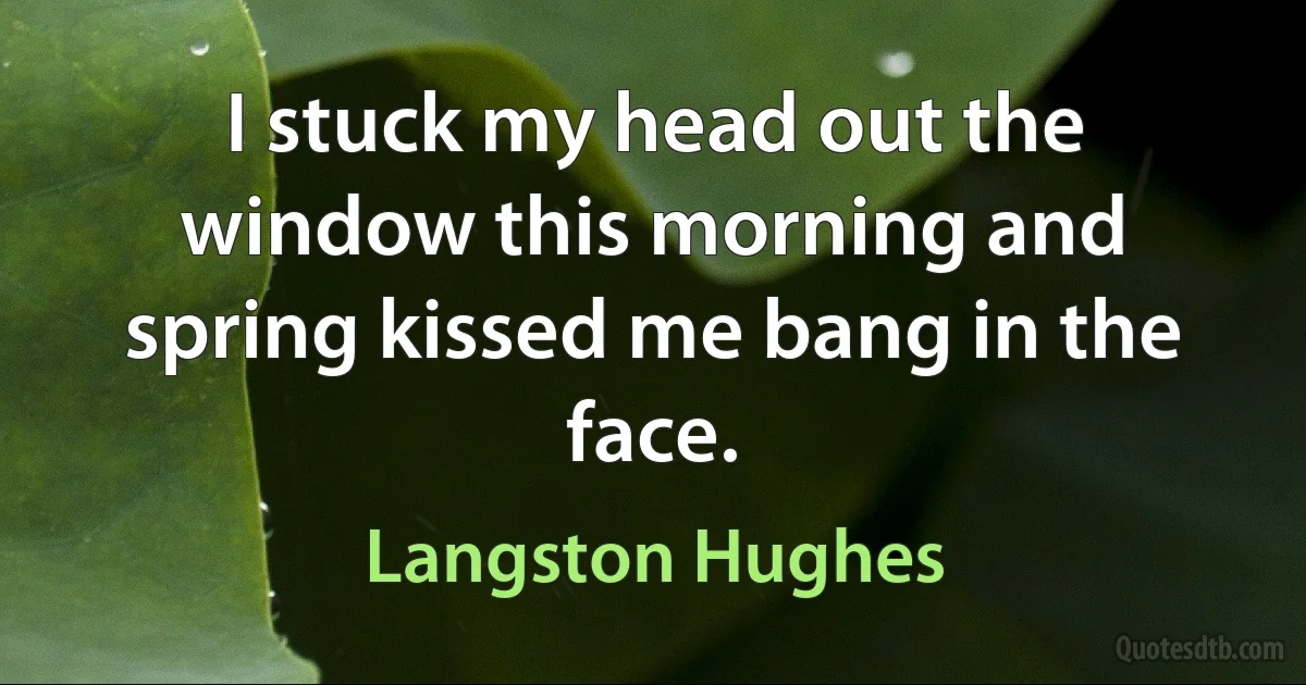 I stuck my head out the window this morning and spring kissed me bang in the face. (Langston Hughes)