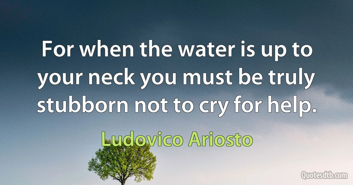 For when the water is up to your neck you must be truly stubborn not to cry for help. (Ludovico Ariosto)