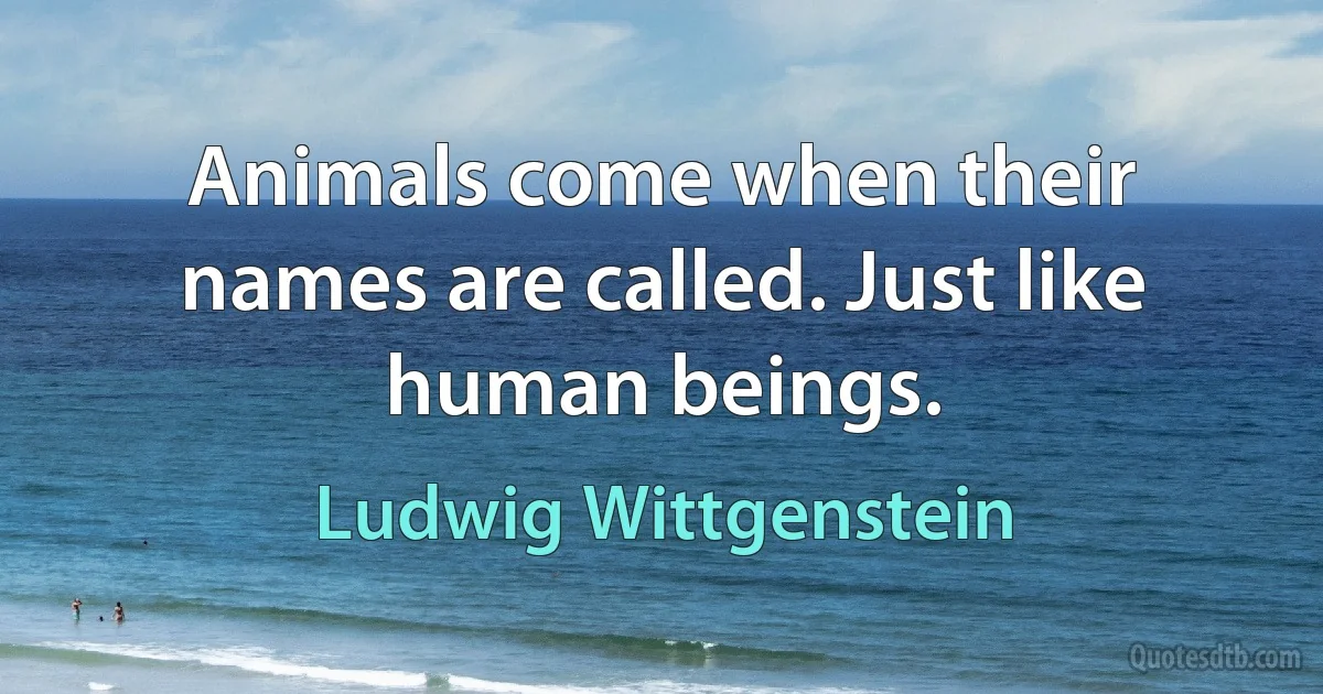 Animals come when their names are called. Just like human beings. (Ludwig Wittgenstein)