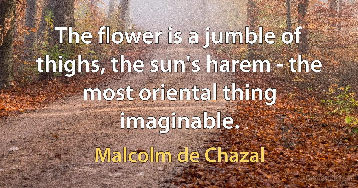 The flower is a jumble of thighs, the sun's harem - the most oriental thing imaginable. (Malcolm de Chazal)