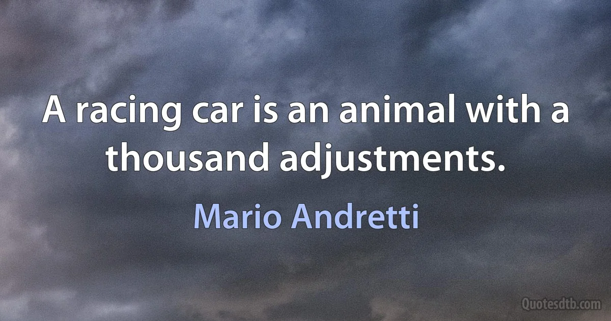 A racing car is an animal with a thousand adjustments. (Mario Andretti)