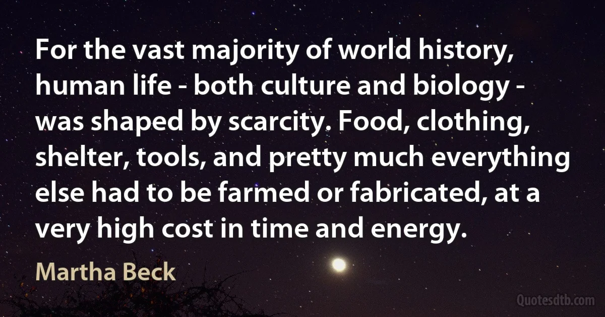 For the vast majority of world history, human life - both culture and biology - was shaped by scarcity. Food, clothing, shelter, tools, and pretty much everything else had to be farmed or fabricated, at a very high cost in time and energy. (Martha Beck)