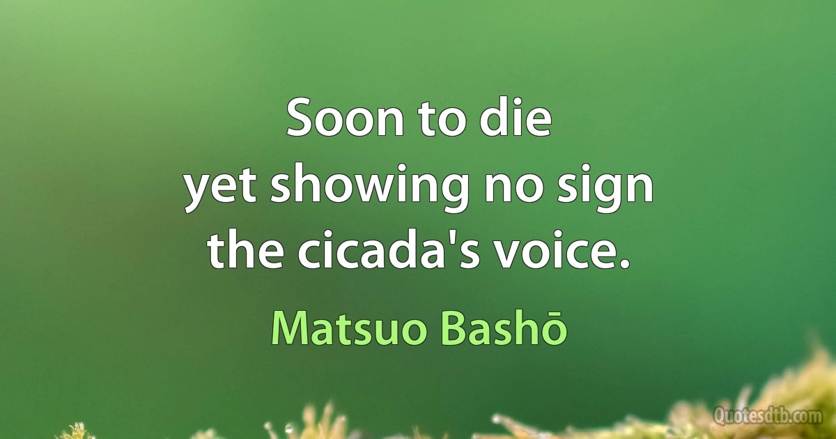 Soon to die
yet showing no sign
the cicada's voice. (Matsuo Bashō)