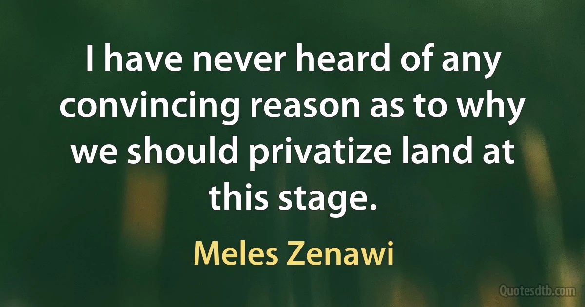 I have never heard of any convincing reason as to why we should privatize land at this stage. (Meles Zenawi)