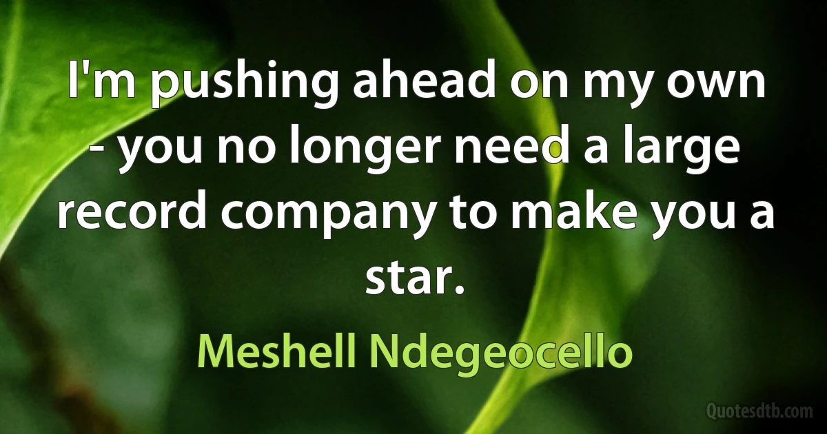 I'm pushing ahead on my own - you no longer need a large record company to make you a star. (Meshell Ndegeocello)