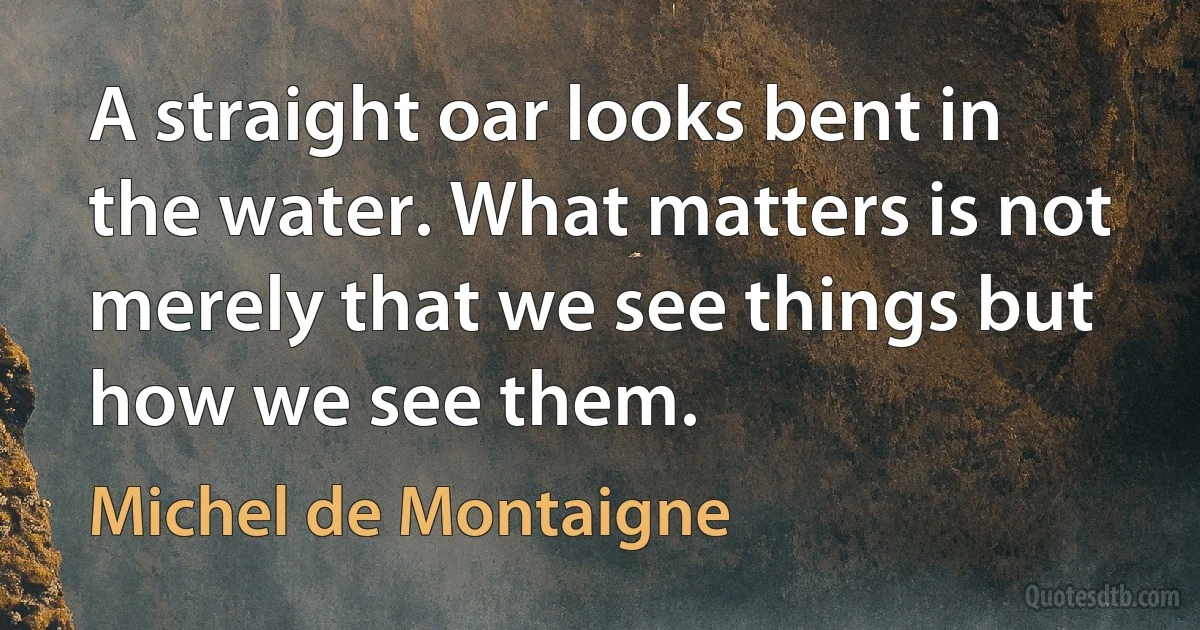 A straight oar looks bent in the water. What matters is not merely that we see things but how we see them. (Michel de Montaigne)