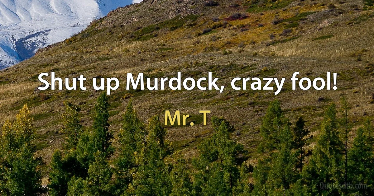 Shut up Murdock, crazy fool! (Mr. T)