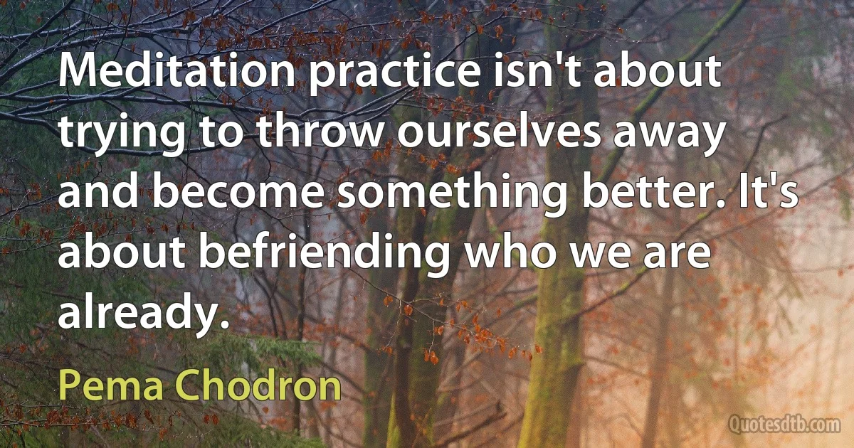 Meditation practice isn't about trying to throw ourselves away and become something better. It's about befriending who we are already. (Pema Chodron)