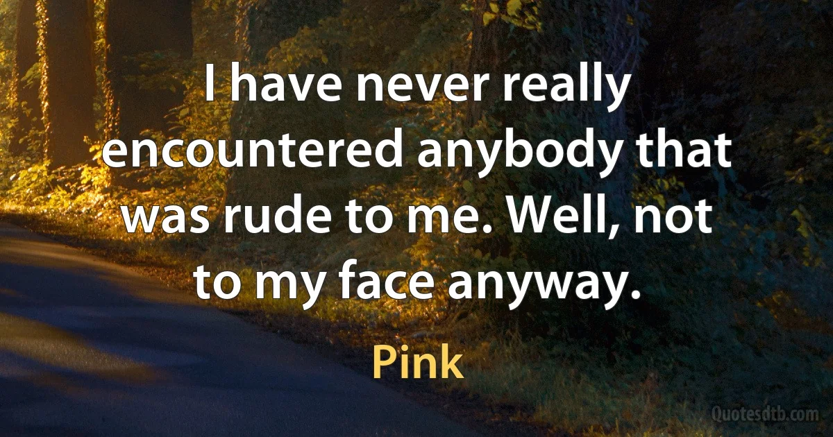 I have never really encountered anybody that was rude to me. Well, not to my face anyway. (Pink)