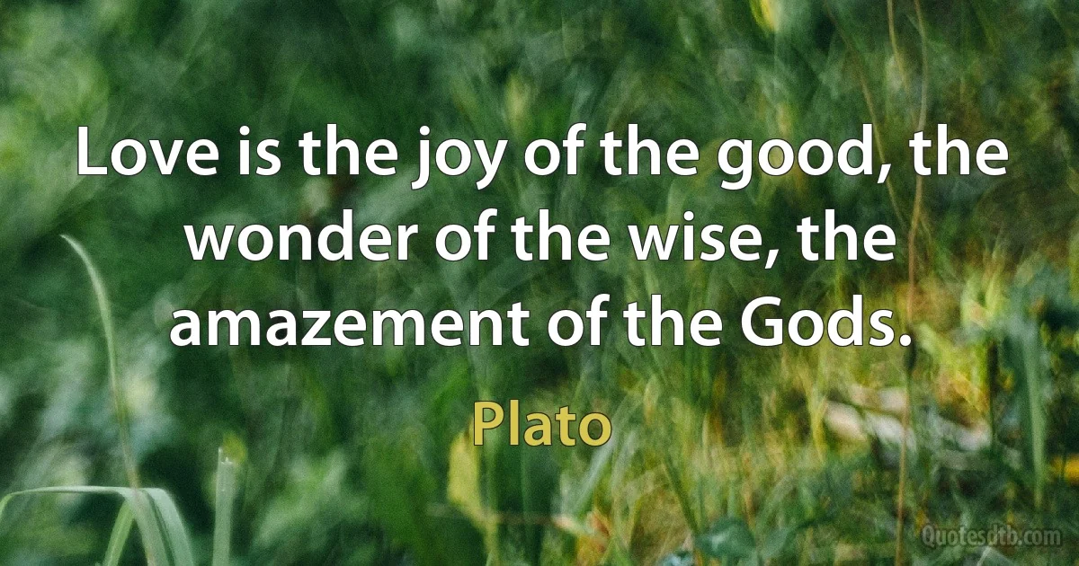 Love is the joy of the good, the wonder of the wise, the amazement of the Gods. (Plato)