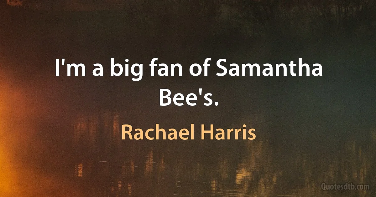 I'm a big fan of Samantha Bee's. (Rachael Harris)