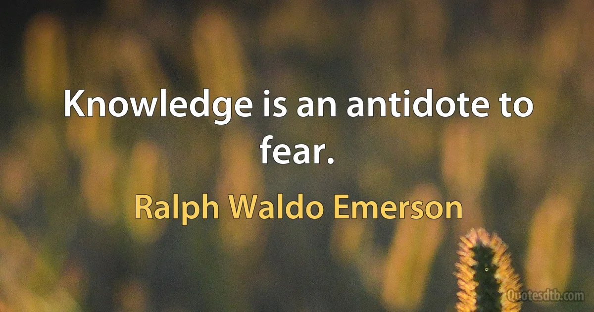 Knowledge is an antidote to fear. (Ralph Waldo Emerson)