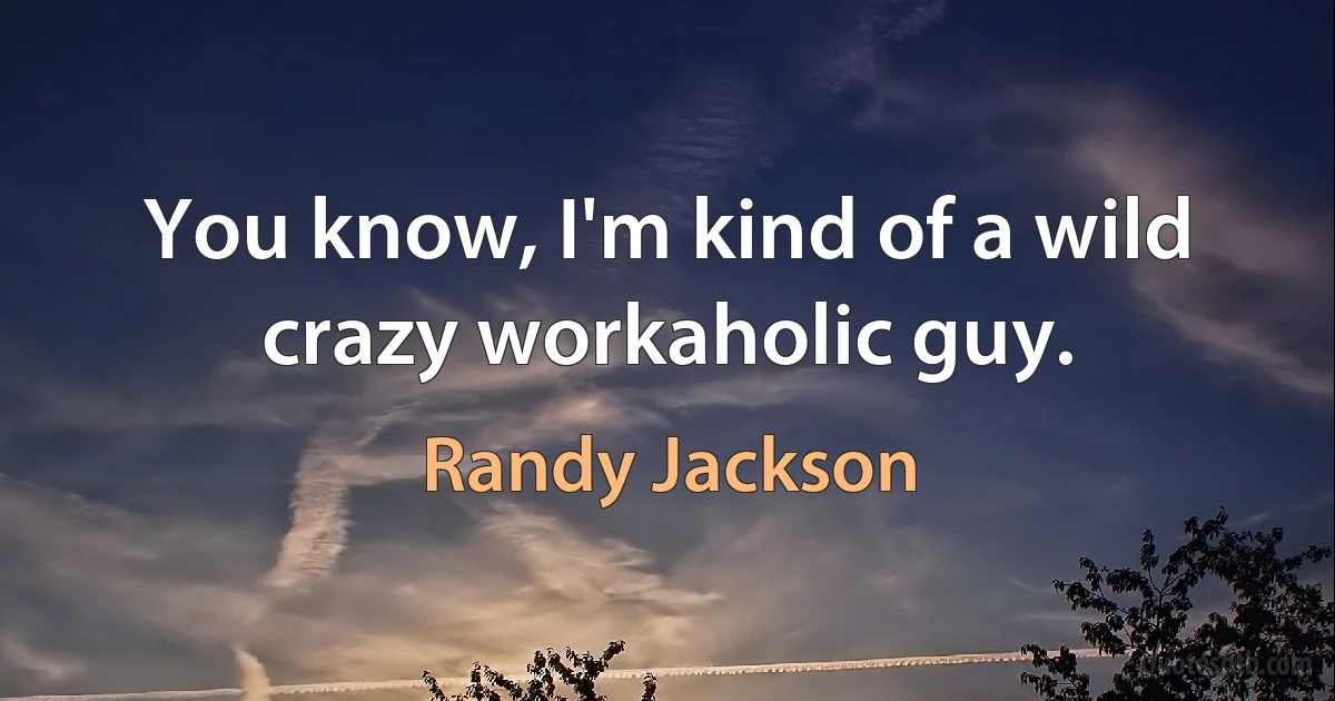 You know, I'm kind of a wild crazy workaholic guy. (Randy Jackson)