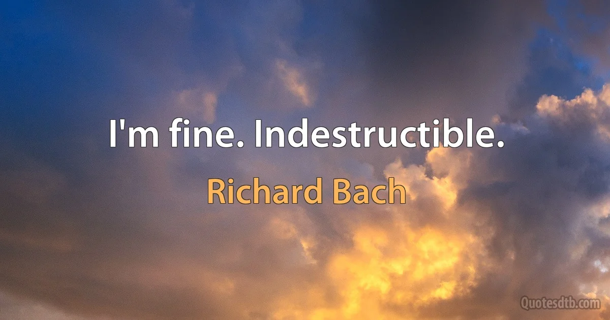 I'm fine. Indestructible. (Richard Bach)