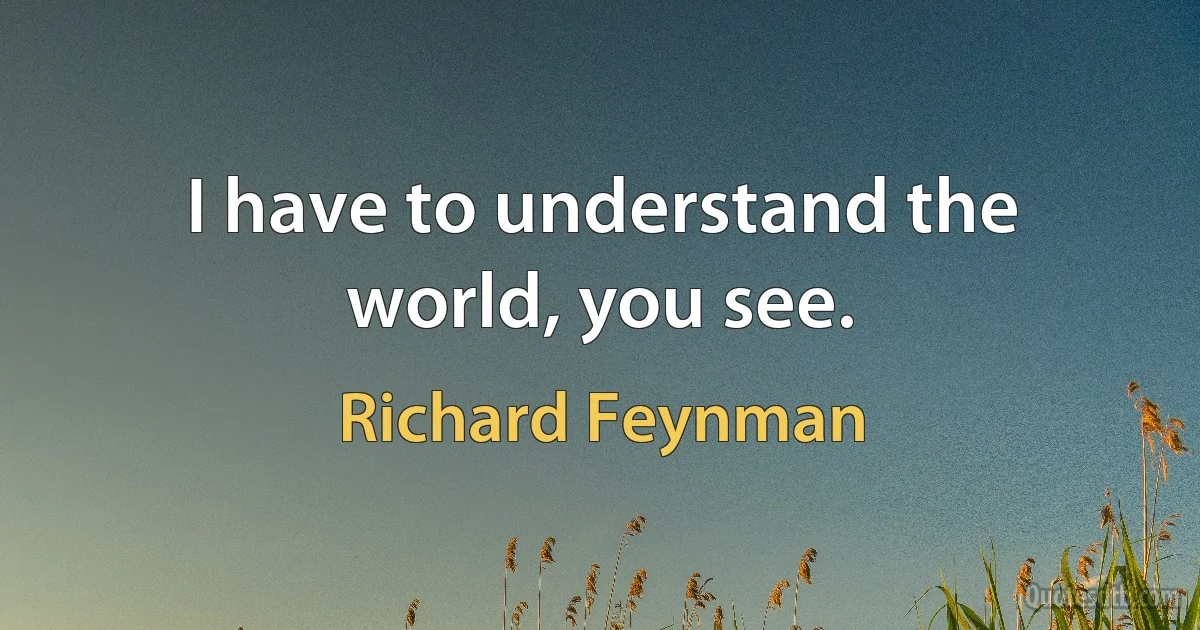 I have to understand the world, you see. (Richard Feynman)