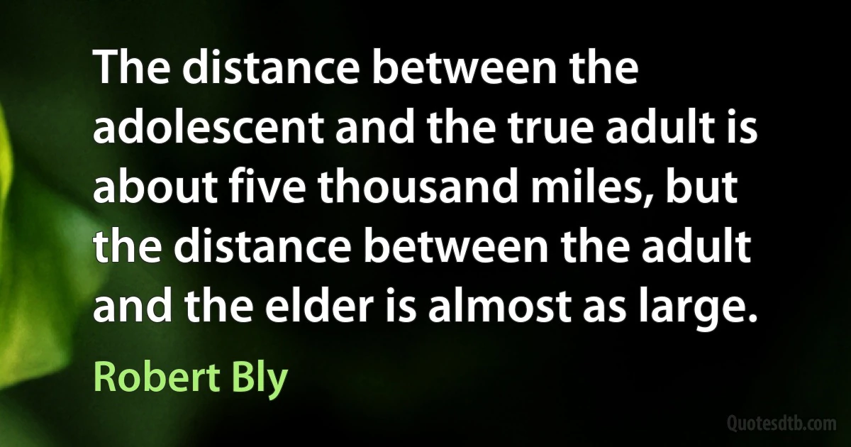 The distance between the adolescent and the true adult is about five thousand miles, but the distance between the adult and the elder is almost as large. (Robert Bly)