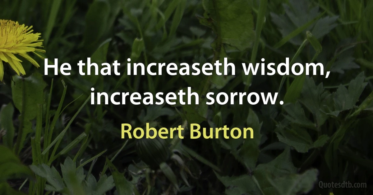 He that increaseth wisdom, increaseth sorrow. (Robert Burton)