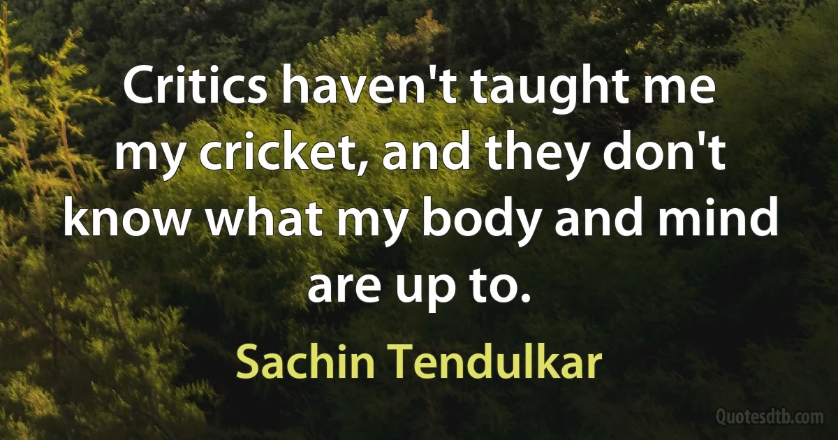 Critics haven't taught me my cricket, and they don't know what my body and mind are up to. (Sachin Tendulkar)