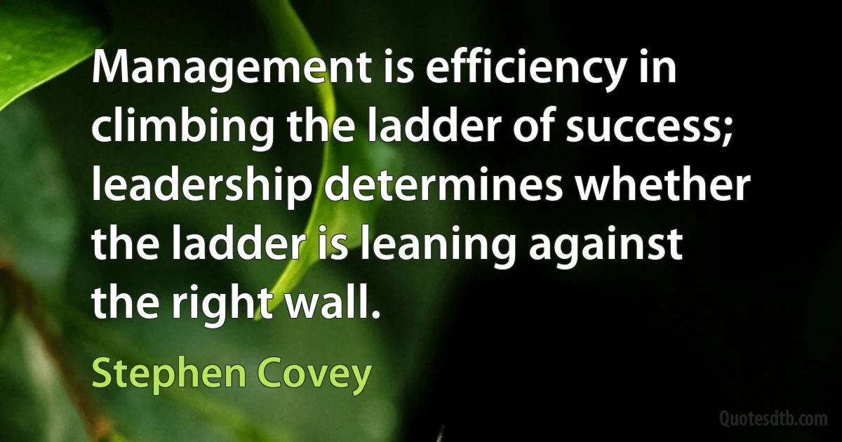 Management is efficiency in climbing the ladder of success; leadership determines whether the ladder is leaning against the right wall. (Stephen Covey)