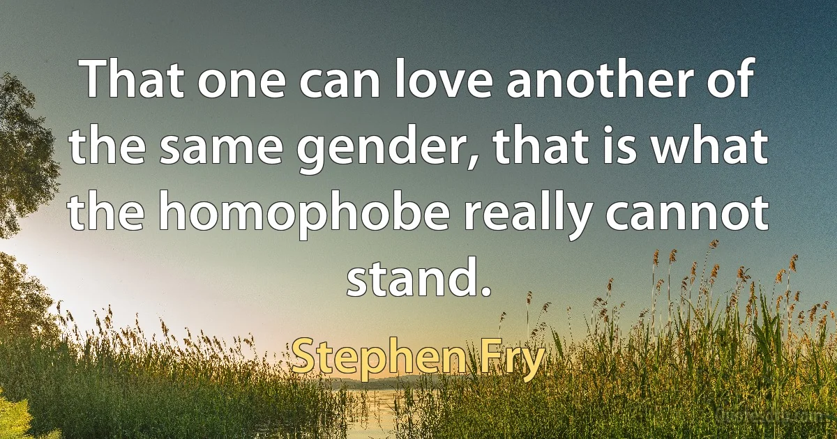 That one can love another of the same gender, that is what the homophobe really cannot stand. (Stephen Fry)