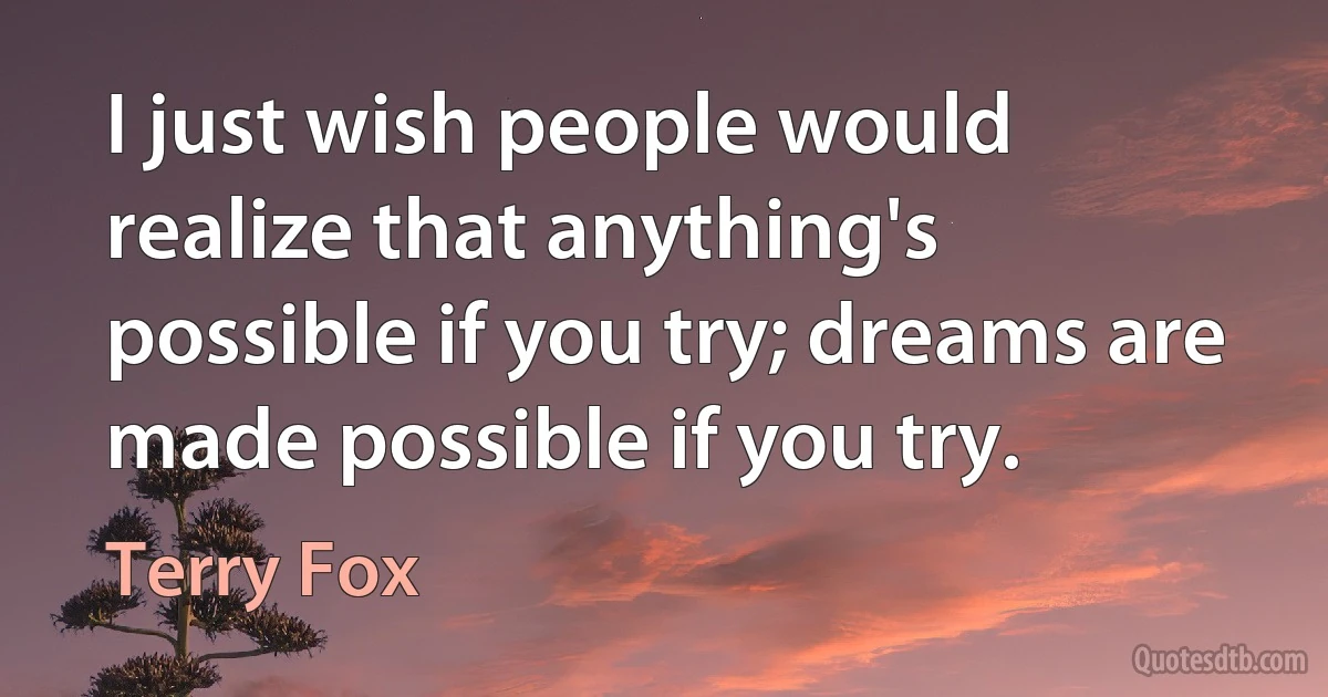 I just wish people would realize that anything's possible if you try; dreams are made possible if you try. (Terry Fox)