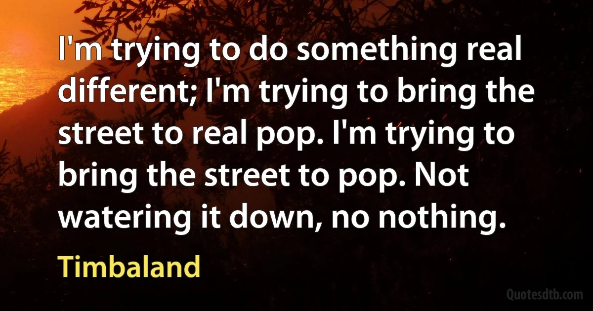 I'm trying to do something real different; I'm trying to bring the street to real pop. I'm trying to bring the street to pop. Not watering it down, no nothing. (Timbaland)