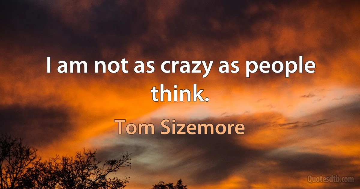 I am not as crazy as people think. (Tom Sizemore)