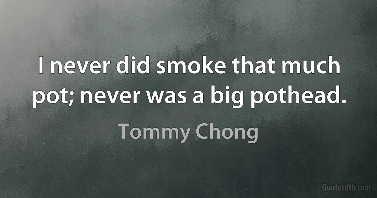 I never did smoke that much pot; never was a big pothead. (Tommy Chong)