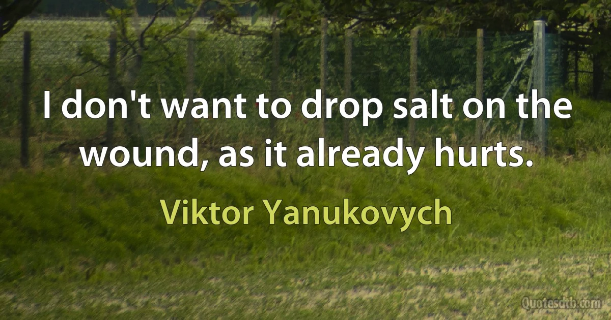 I don't want to drop salt on the wound, as it already hurts. (Viktor Yanukovych)