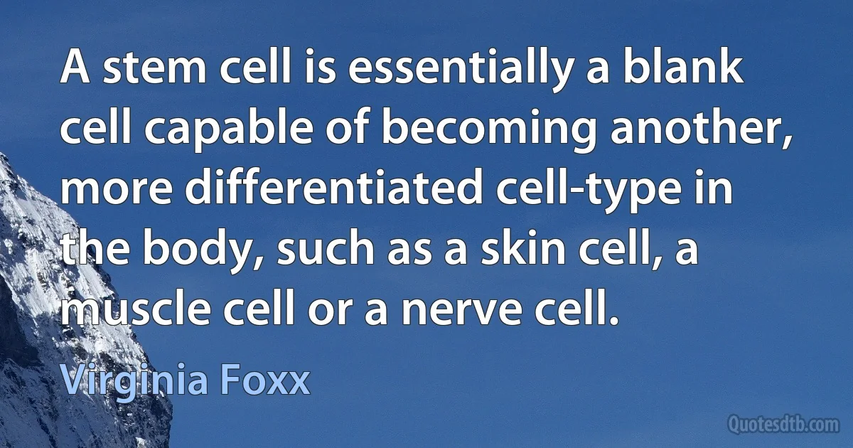 A stem cell is essentially a blank cell capable of becoming another, more differentiated cell-type in the body, such as a skin cell, a muscle cell or a nerve cell. (Virginia Foxx)