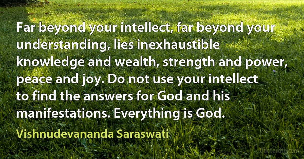 Far beyond your intellect, far beyond your understanding, lies inexhaustible knowledge and wealth, strength and power, peace and joy. Do not use your intellect to find the answers for God and his manifestations. Everything is God. (Vishnudevananda Saraswati)