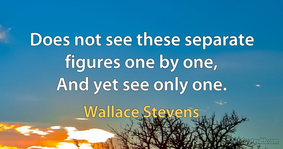 Does not see these separate figures one by one,
And yet see only one. (Wallace Stevens)