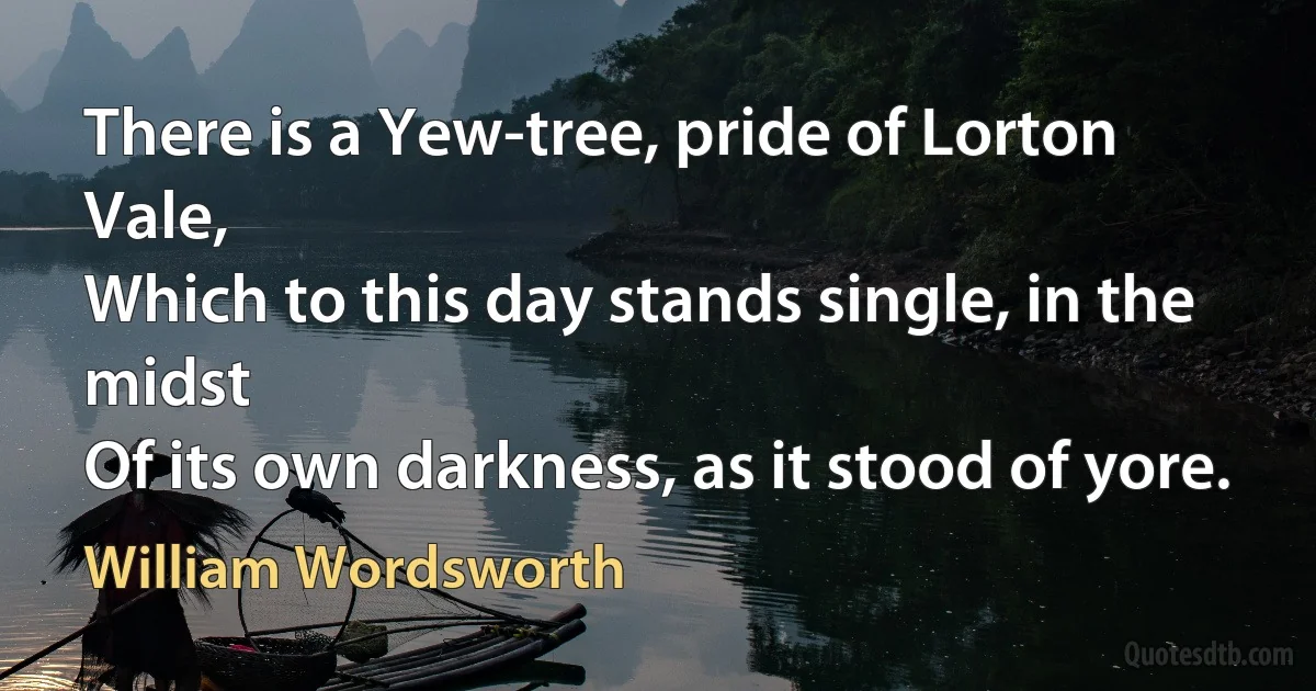 There is a Yew-tree, pride of Lorton Vale,
Which to this day stands single, in the midst
Of its own darkness, as it stood of yore. (William Wordsworth)