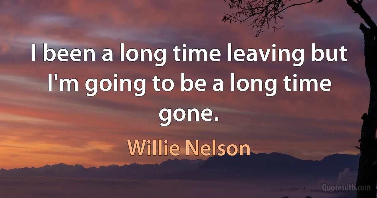 I been a long time leaving but I'm going to be a long time gone. (Willie Nelson)