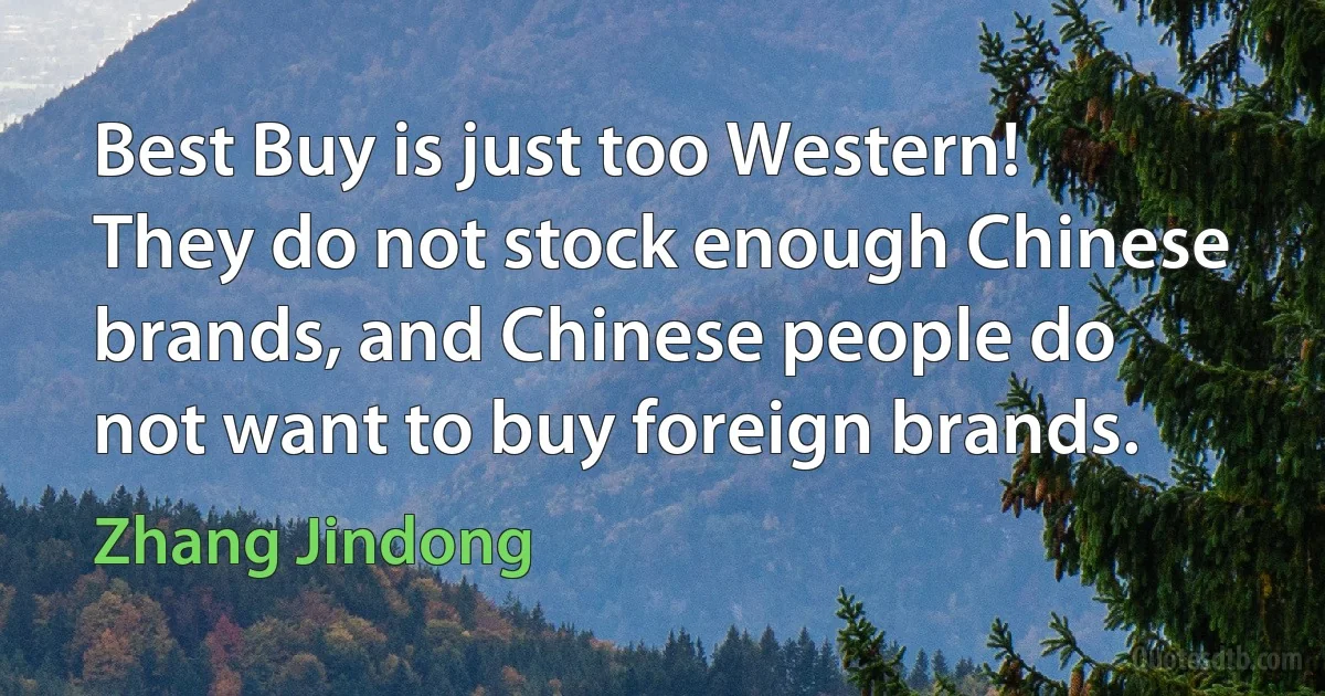 Best Buy is just too Western! They do not stock enough Chinese brands, and Chinese people do not want to buy foreign brands. (Zhang Jindong)