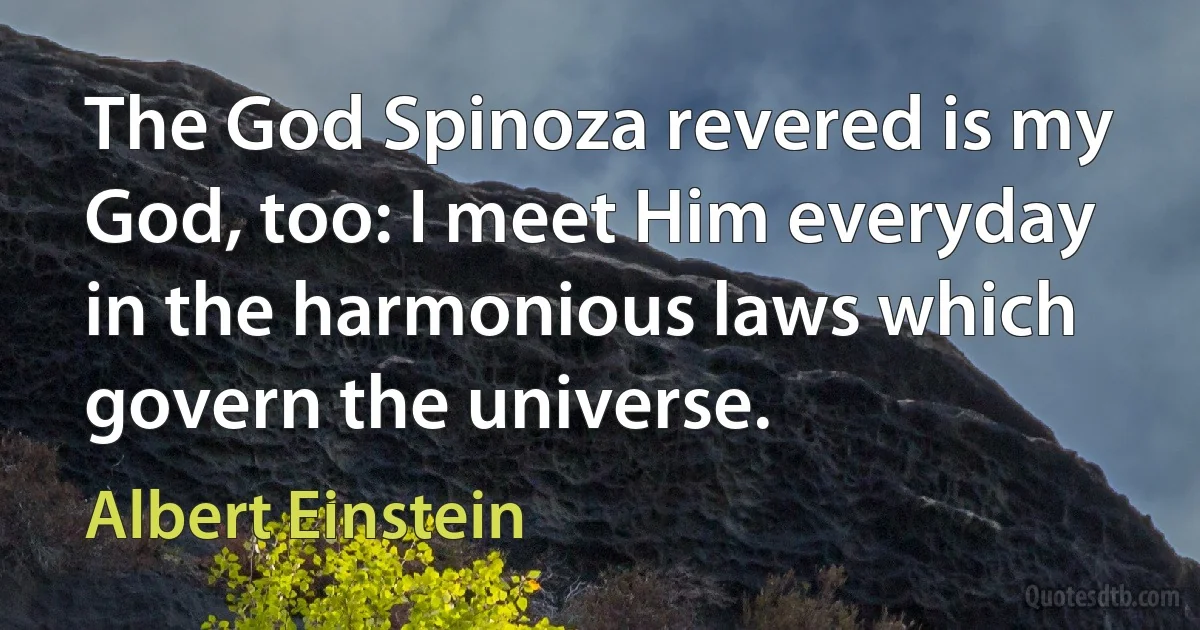 The God Spinoza revered is my God, too: I meet Him everyday in the harmonious laws which govern the universe. (Albert Einstein)