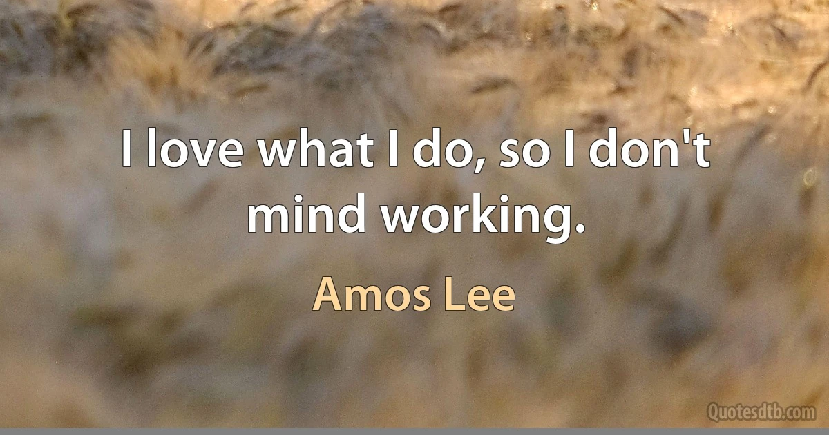 I love what I do, so I don't mind working. (Amos Lee)