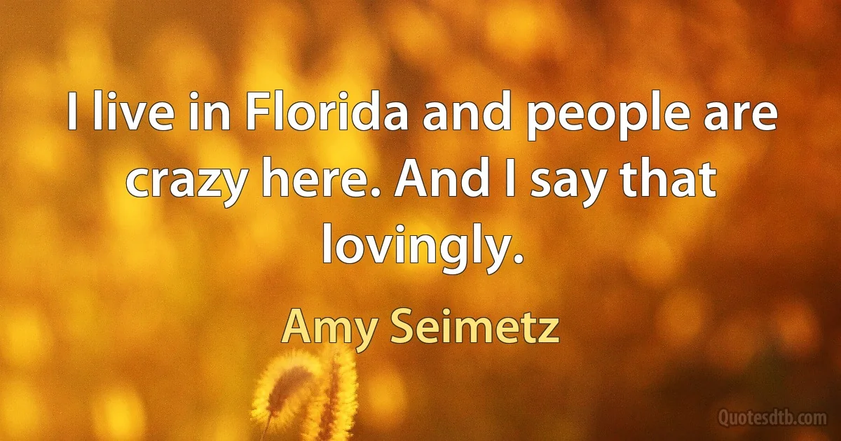 I live in Florida and people are crazy here. And I say that lovingly. (Amy Seimetz)