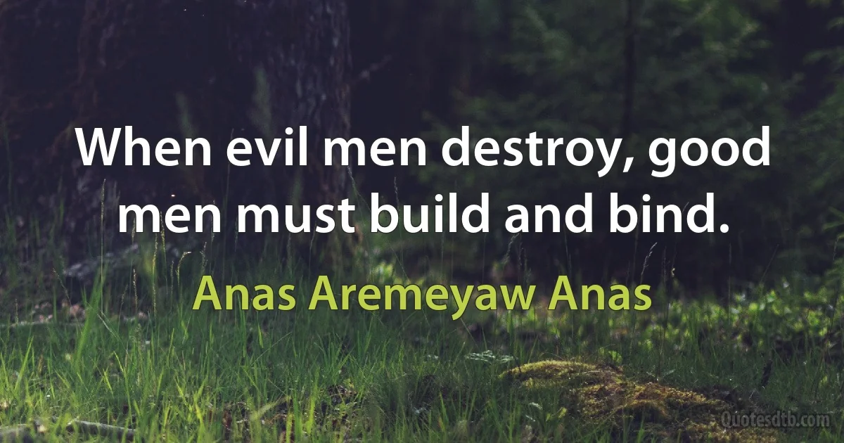 When evil men destroy, good men must build and bind. (Anas Aremeyaw Anas)