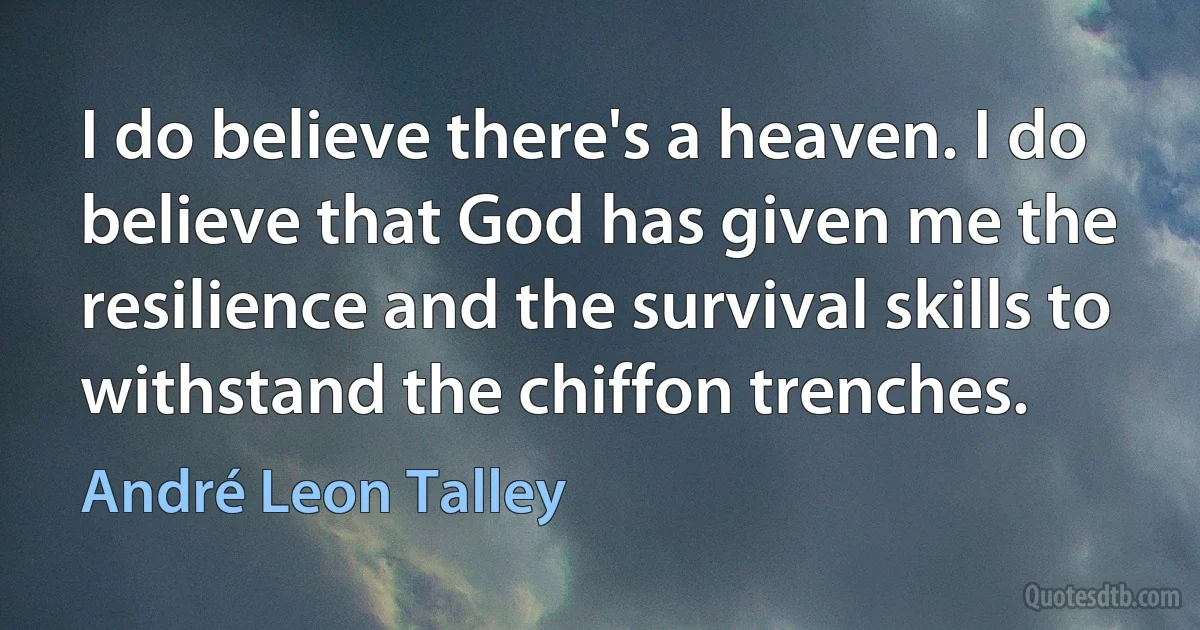 I do believe there's a heaven. I do believe that God has given me the resilience and the survival skills to withstand the chiffon trenches. (André Leon Talley)