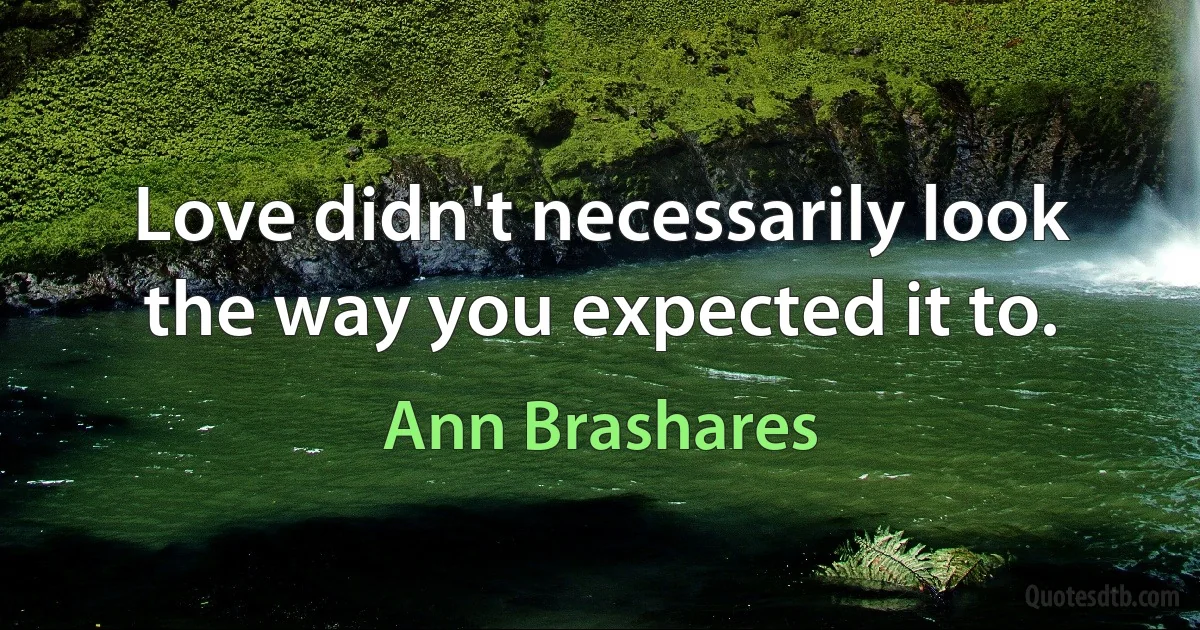 Love didn't necessarily look the way you expected it to. (Ann Brashares)