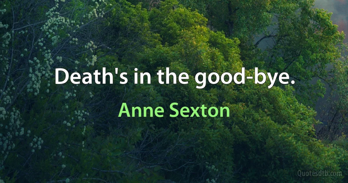 Death's in the good-bye. (Anne Sexton)